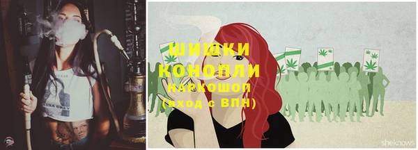 дживик Володарск