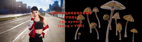 дживик Володарск