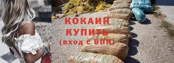 дживик Володарск