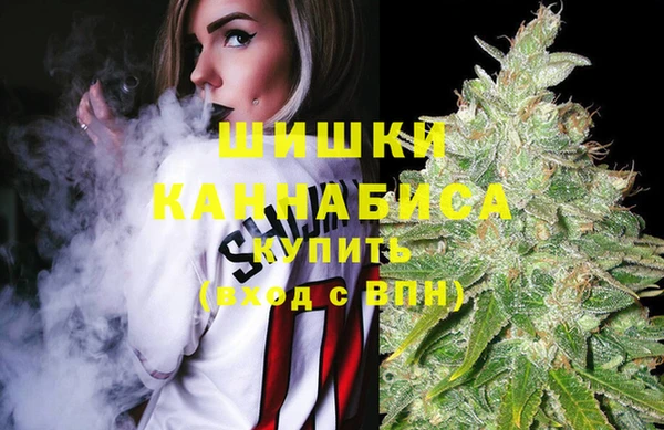 дживик Володарск