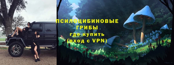 крисы Волоколамск