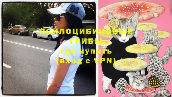 крисы Волоколамск